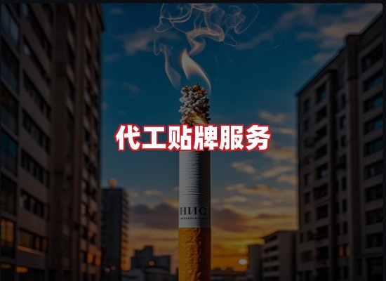 专业团队